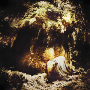 Wolves in the throne room -celestial