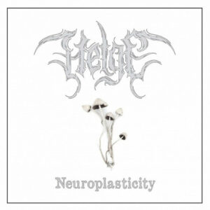 Helge Neuroplasticity LP